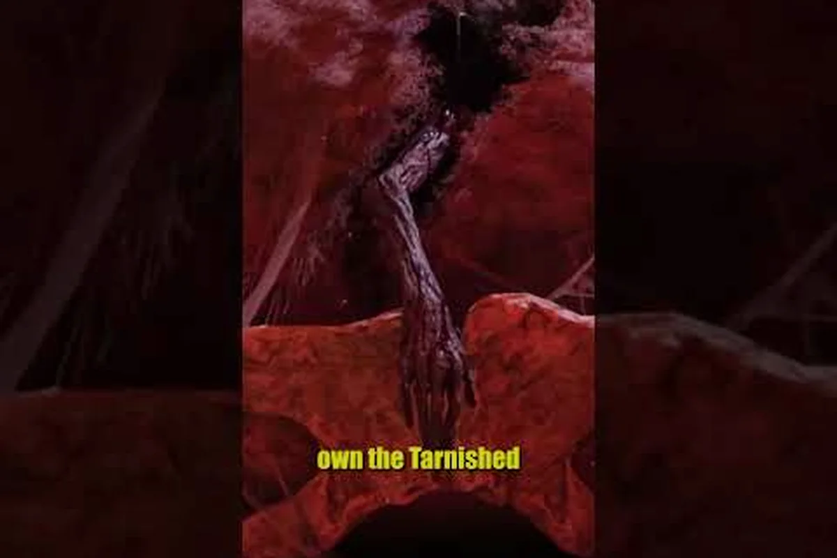 ELDEN RING Tarnished Edition Tarnished Pack Price & Value